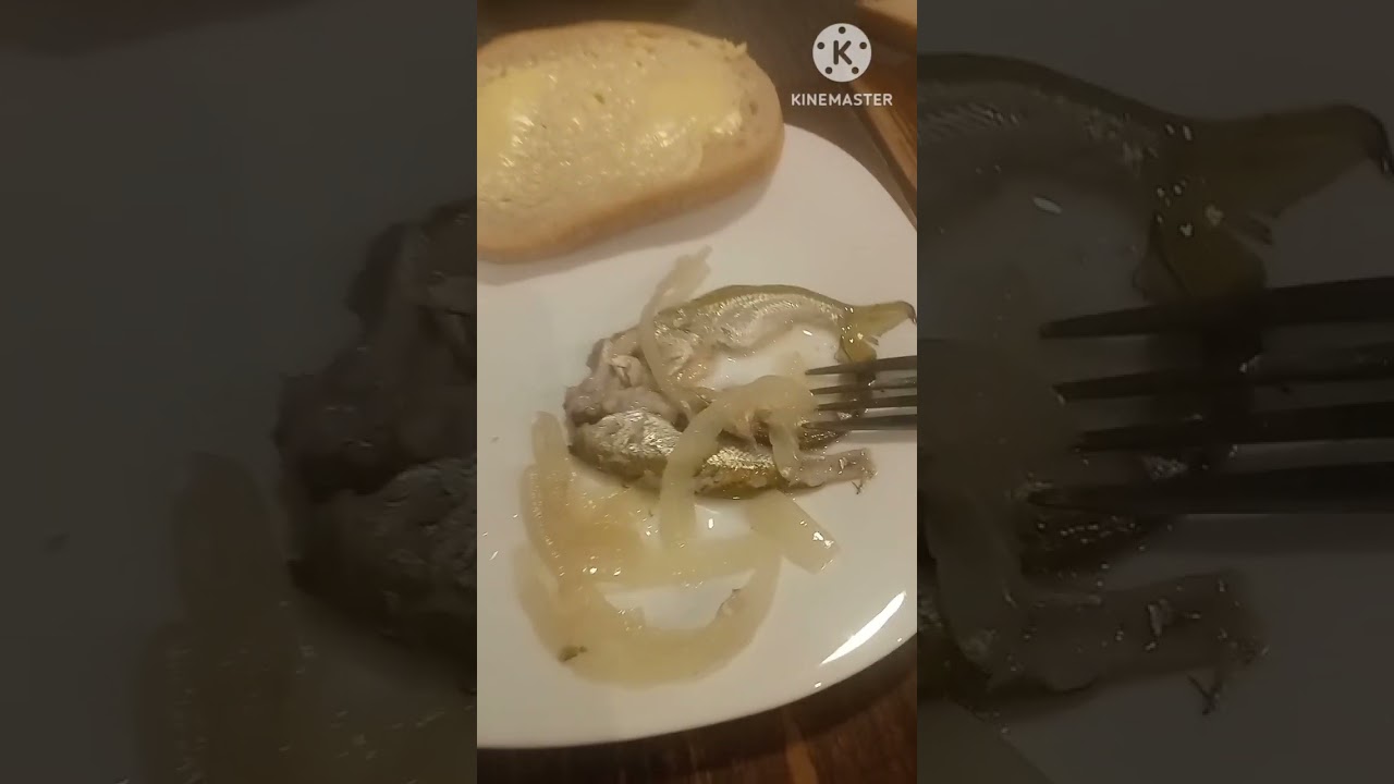 uklejka a'la śledz faza test👨&zwj;🍳uff🎣🎣🎣#wędkarstwo #shorts