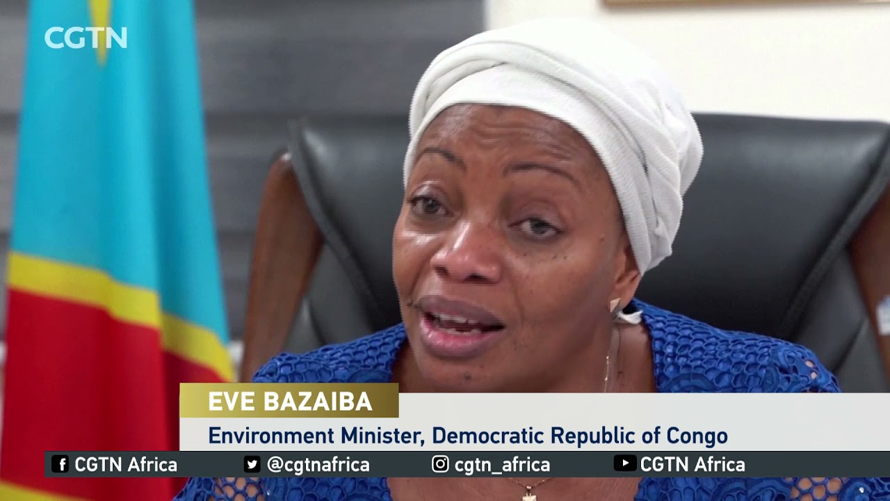 DR Congo govt plans to ban log exports to reduce pressure on forests