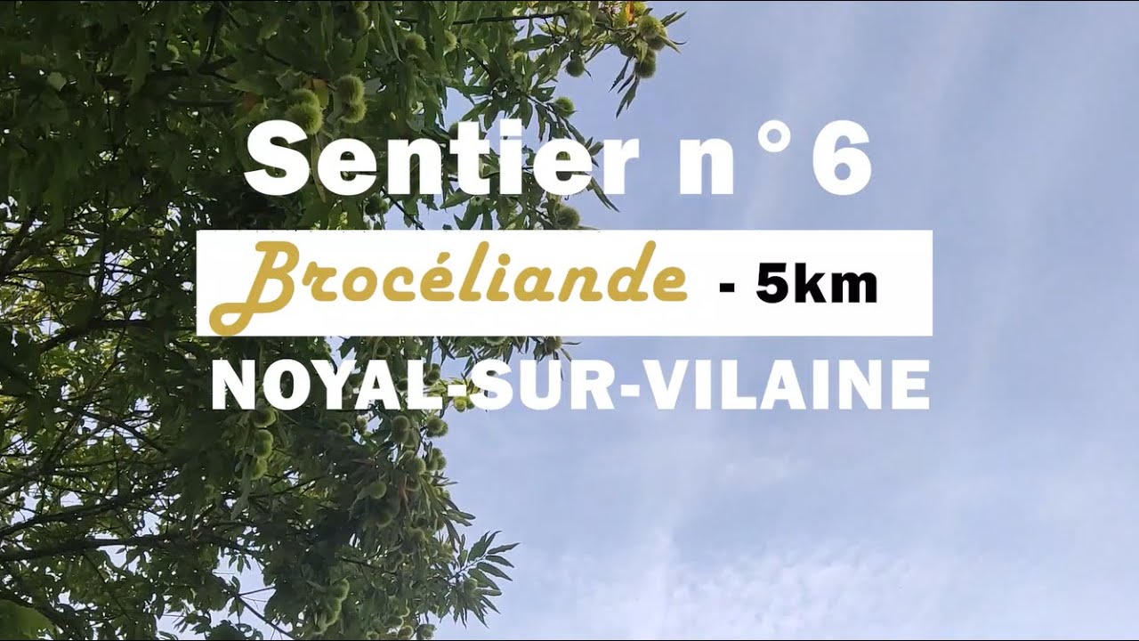 Brocéliande - Noyal-sur-Vilaine - Sentier n°6