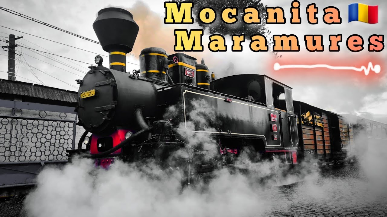 Mocanita 🇷🇴 Maramureș - Vișeul de Sus 4K