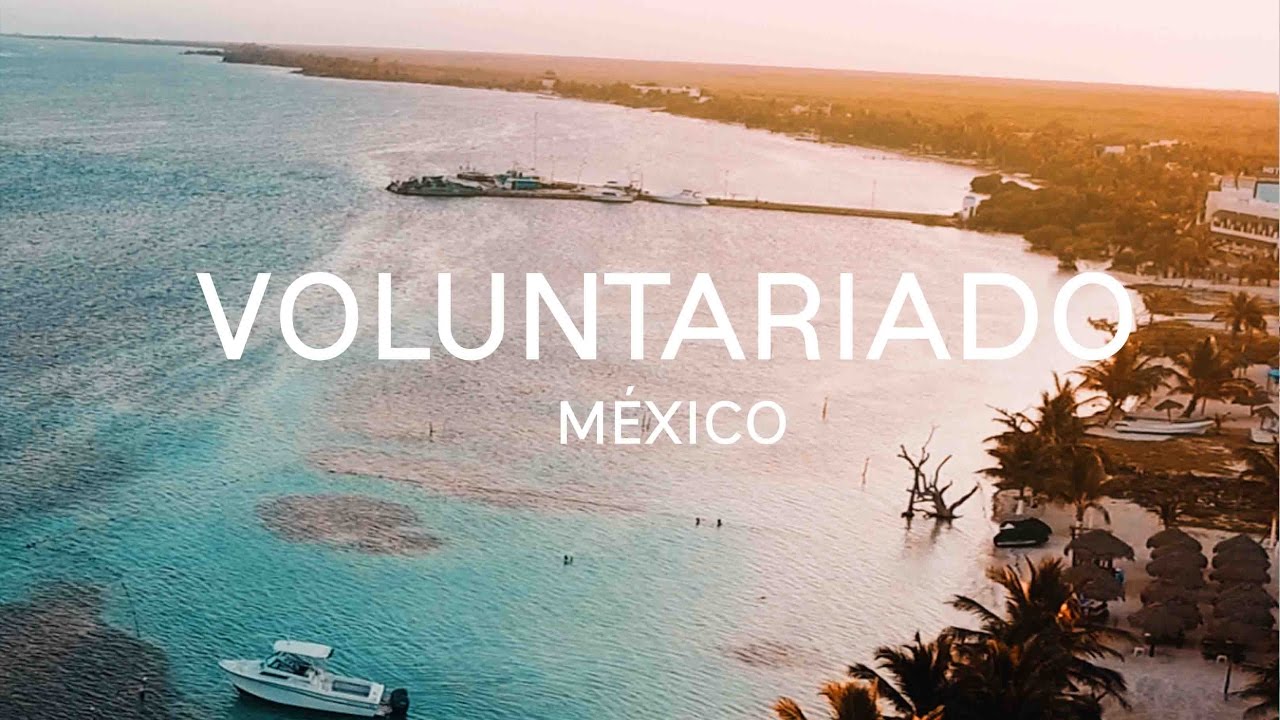COMO VIAJAR CASI GRATIS POR EL MUNDO || Voluntariado con @worldpackers #1