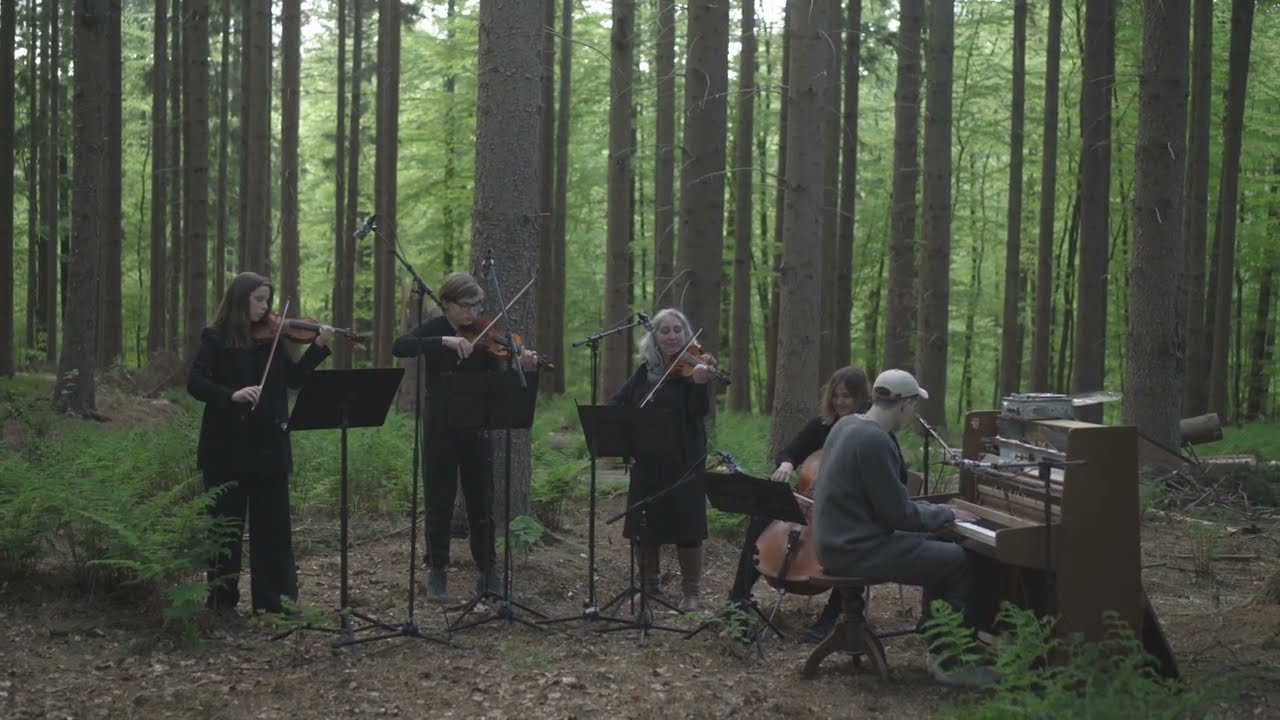 Marius Nitzbon - A Never Ending Story (forest session II)
