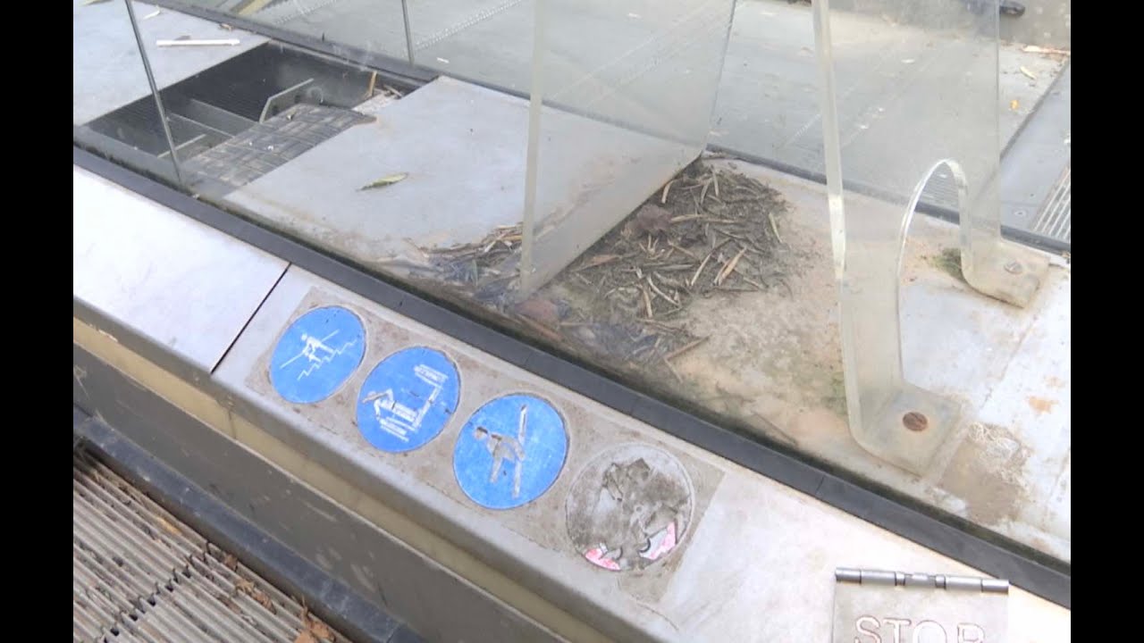 The real-life impact of a broken escalator