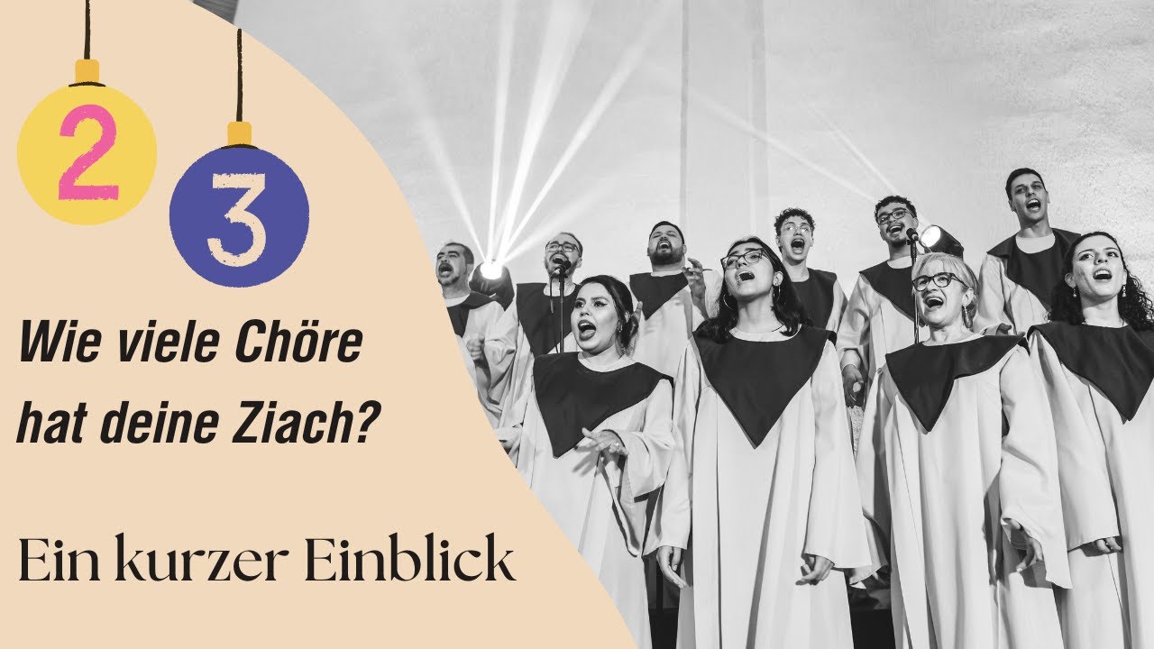 Ist deine Ziach 2- oder 3-chörig und wie erkenne ist dies? Steirische Harmonika von innen