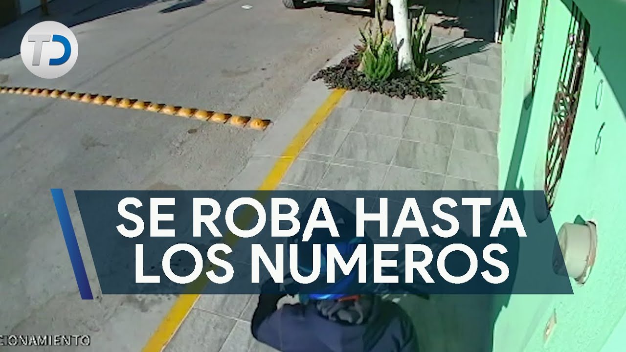 C&aacute;maras captan a ladr&oacute;n; rob&oacute; hasta n&uacute;meros de vivienda