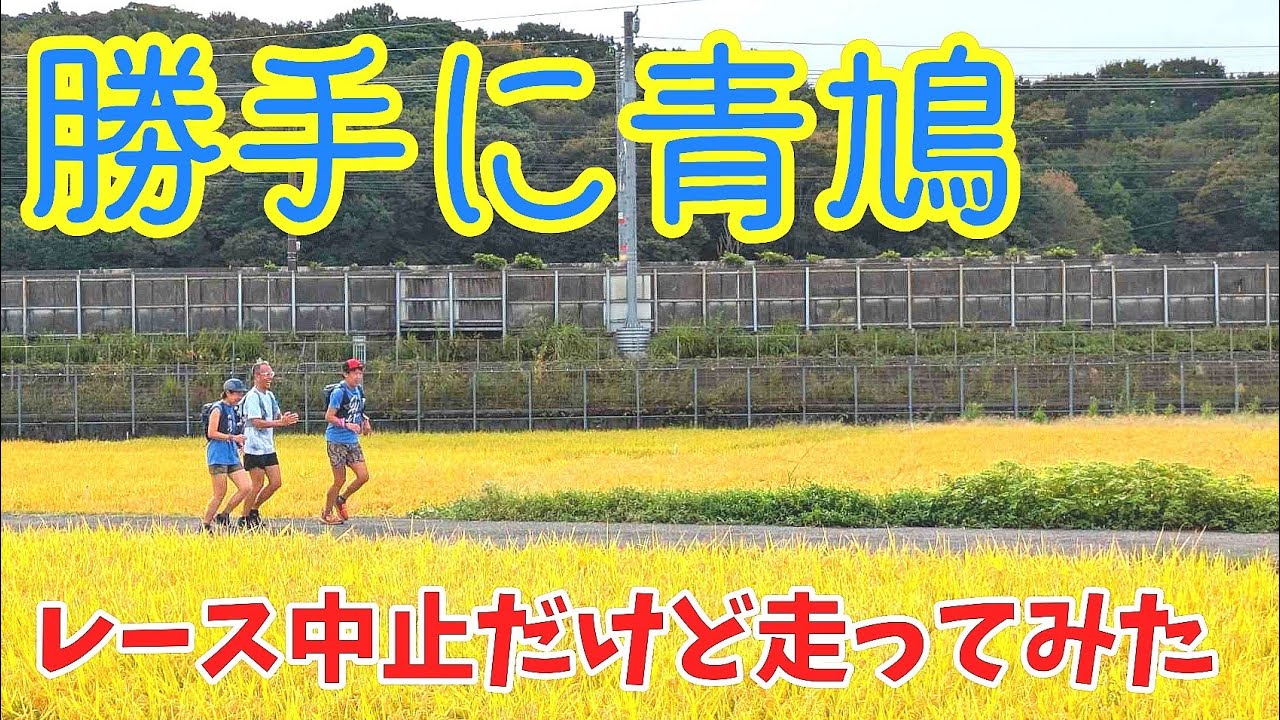 青鳩トレイルラン中止[勝手に走ってみた]