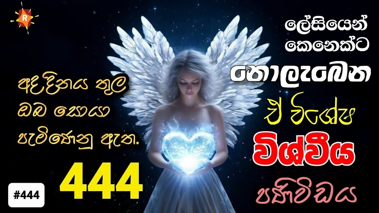 ලේසියෙන් කෙනෙක්ට නොලැබෙන 444 Divine Message මේක විශ්වයේ අශිරිවාදයක් ලැබුනොත් ඔයා හරීම වාසනාවන්තයි.