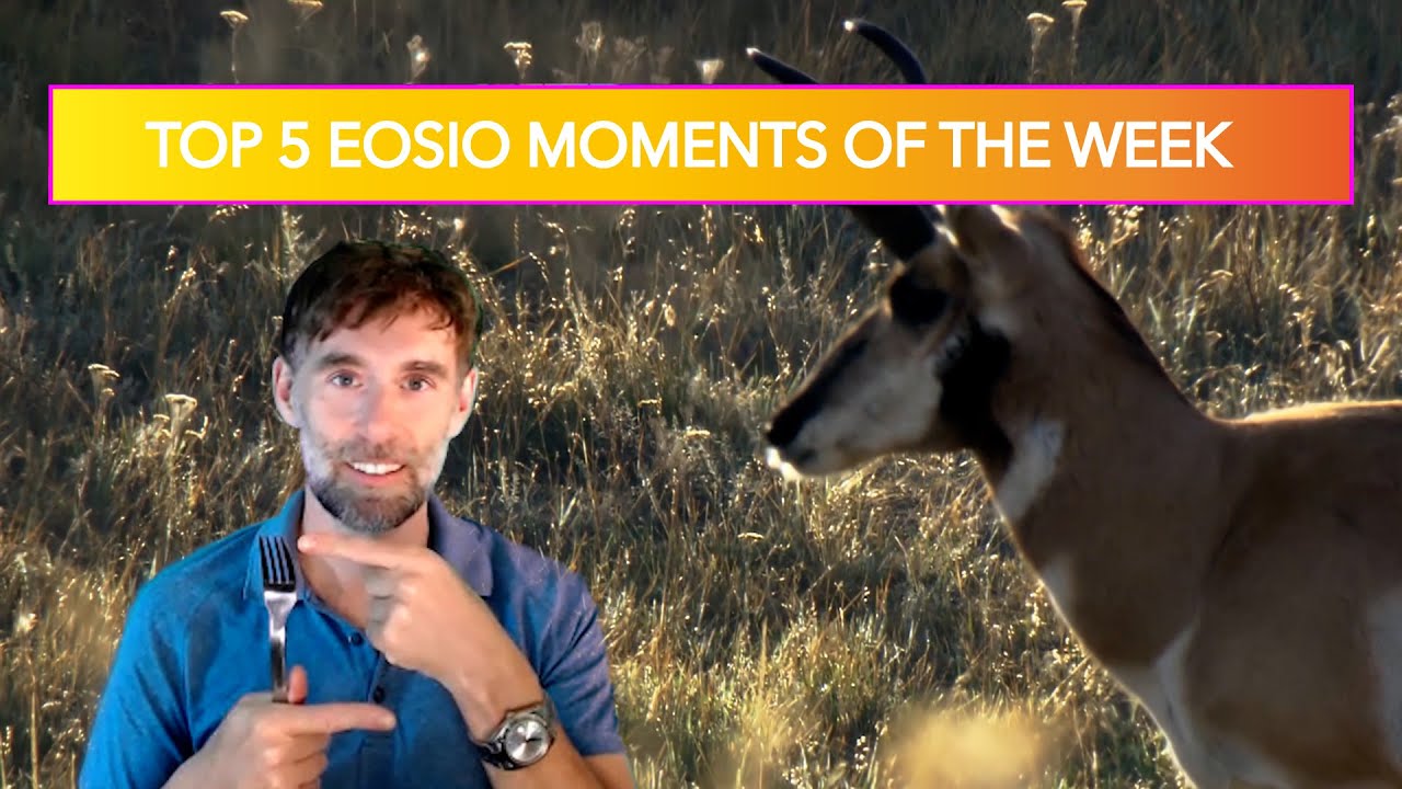 Earn Bitcoin SATS today with Libre Wallet - Top 5 #EOSIO Moments Of The Week #30