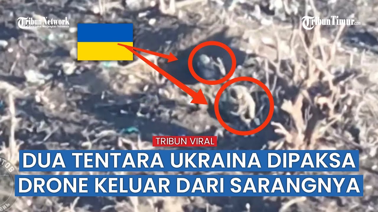 Drone FPV ‘BT-40’ Rusia Sapu Bersih Semua Wilayah Kekuasaan Ukraina