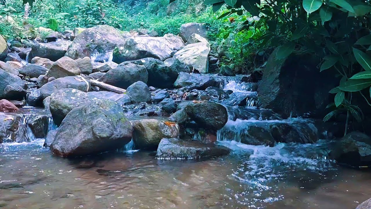 Peaceful River Ambience for Deep Rest