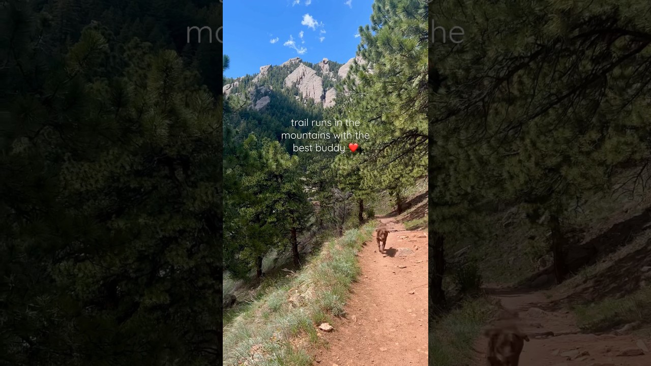 Keeping me company on trail runs ❤️🐾🏔️🌞 