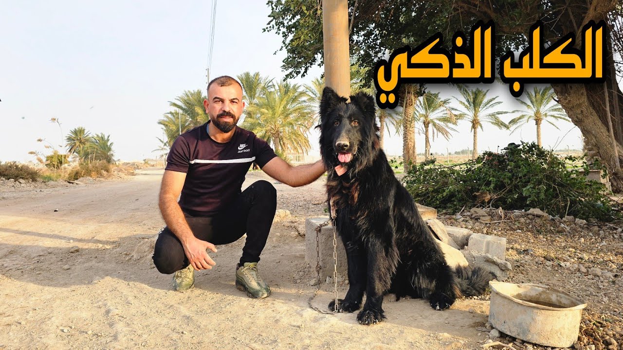 الكلب الذكي عاد من جديد  #ارام_موسى 