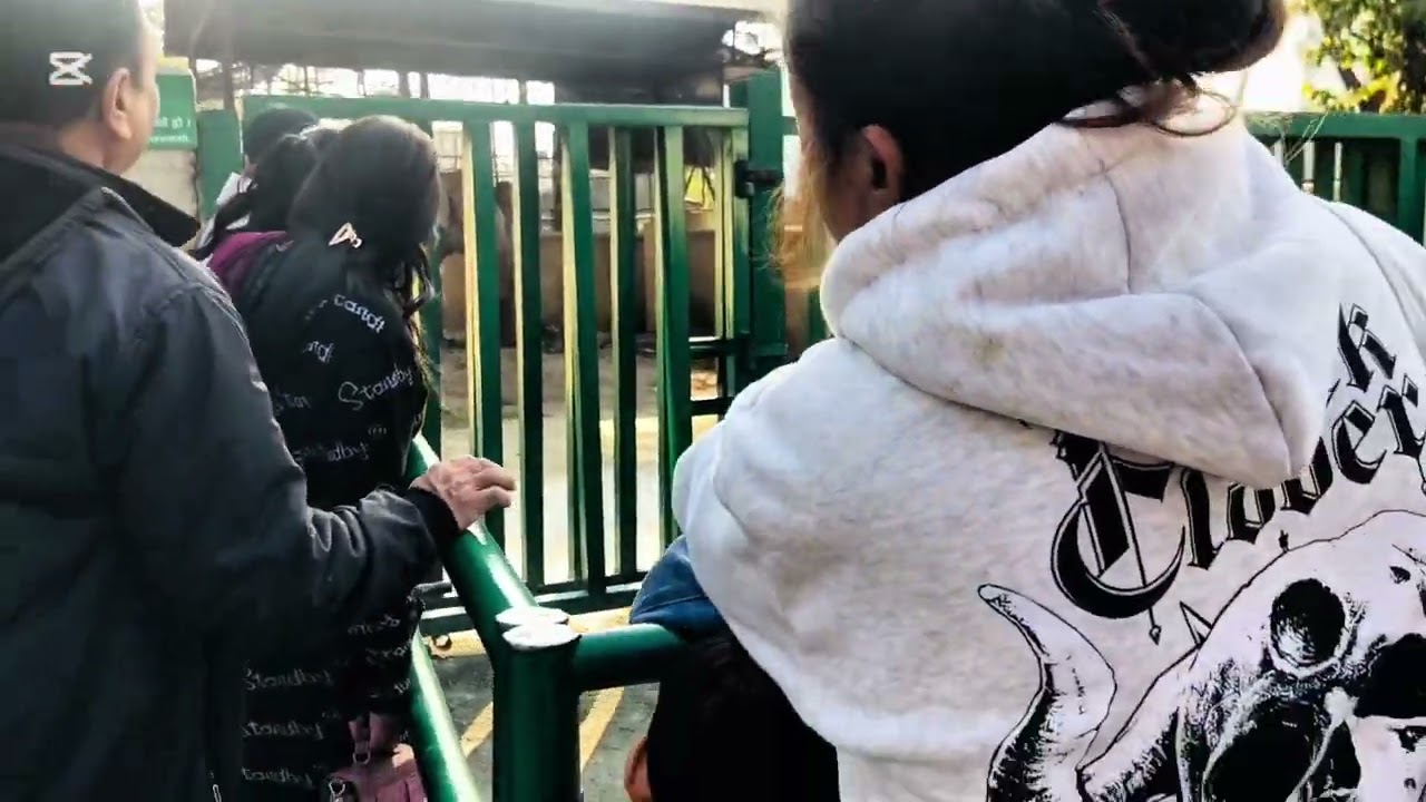 Holiday in zoo