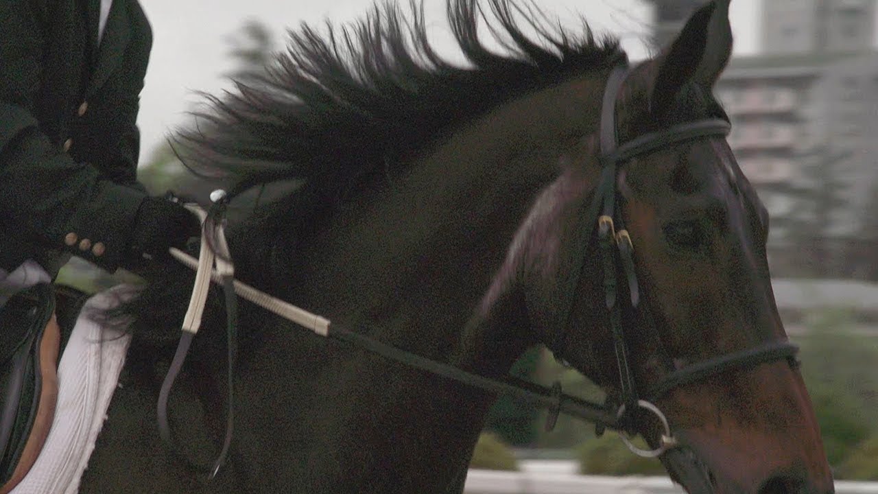 馬よ故郷よ　南相馬で生きる