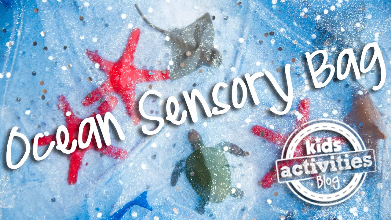 Ocean Sensory Bag for Kids