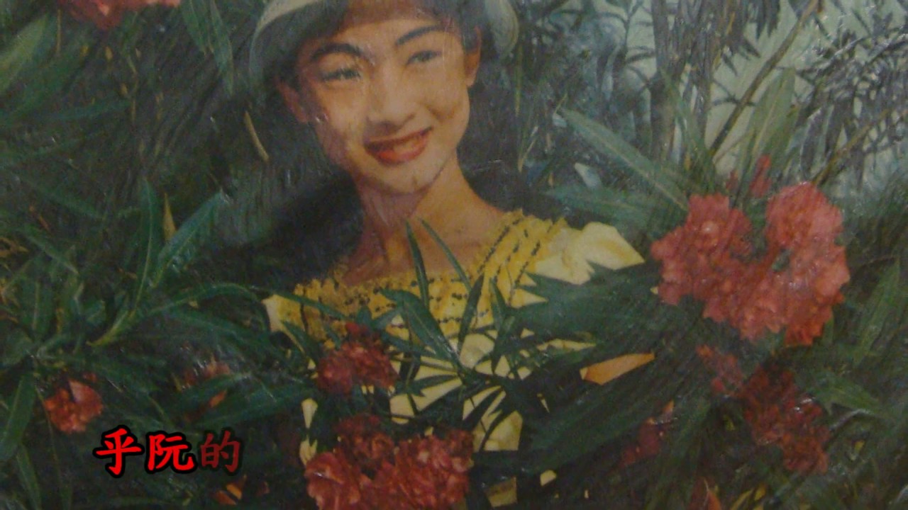 文鶯 --- 拜託月娘找頭路【日曲 : りんごっ子三味線】 ( 台灣拉吉歐 . 飛虎的台語歌 )