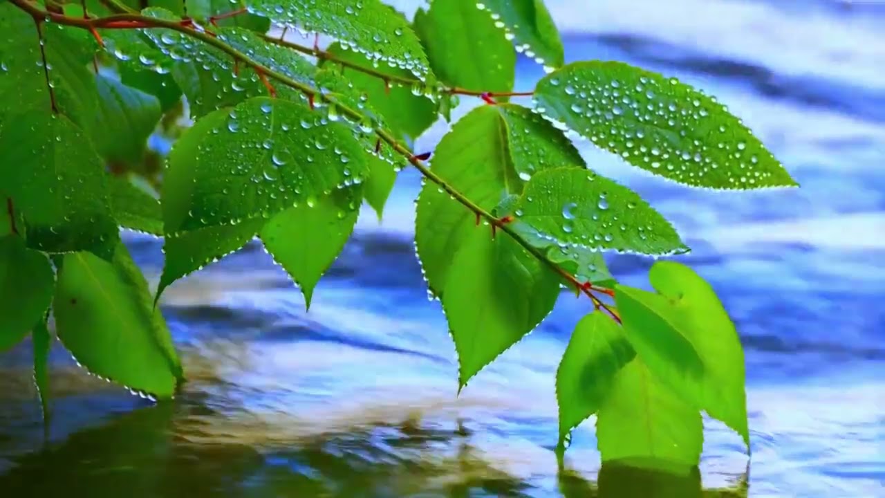 Calm Background Music for Yoga, Massage, Spa #relaxing #relaxation #calm