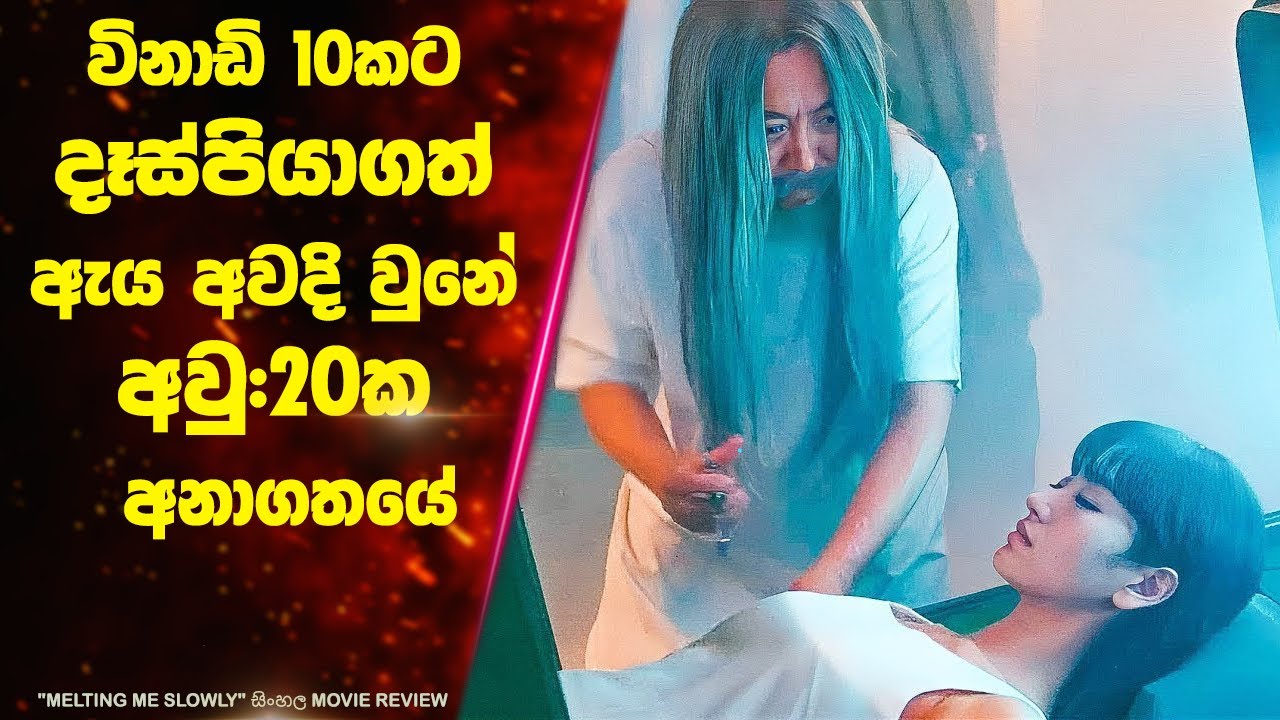 විනාඩි 10කට දෑස්පියාගත් ඇය අවදි වුනේ අවු:20ක අනාගතයේ | Ending Explained Sinhala | Lokki Recaps