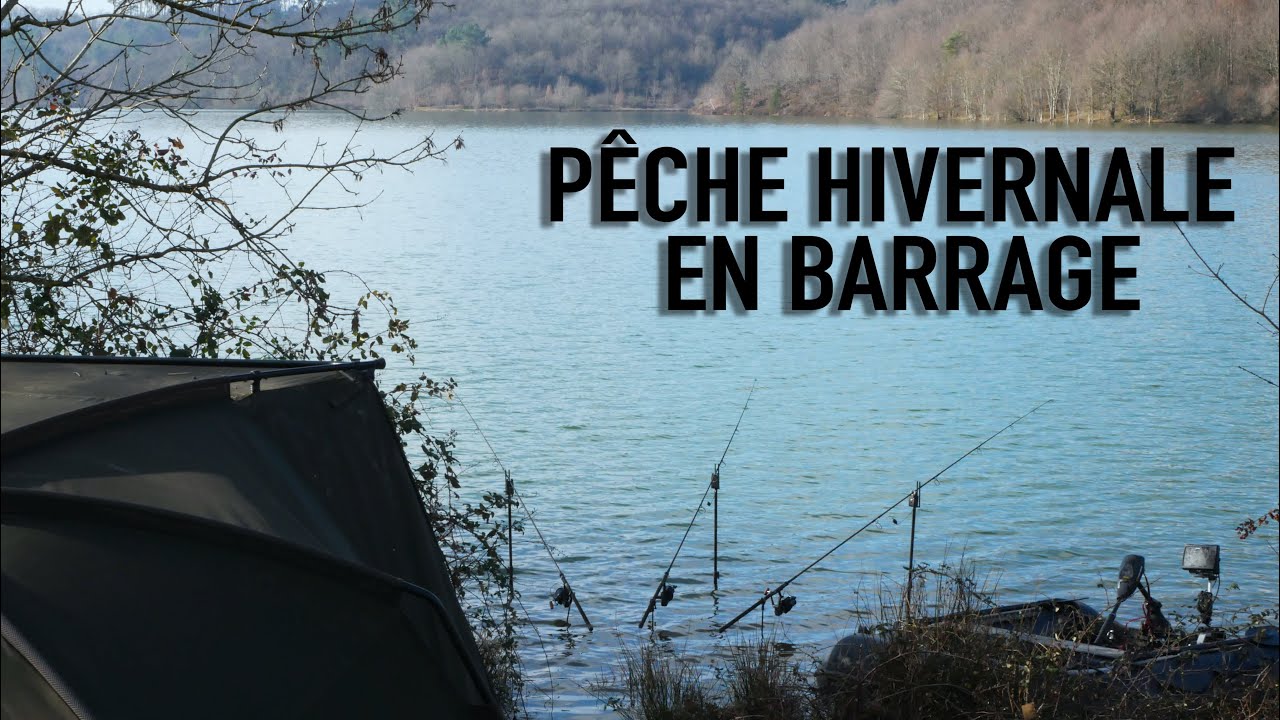 Pêche hivernale de la carpe en barrage / Partie 1