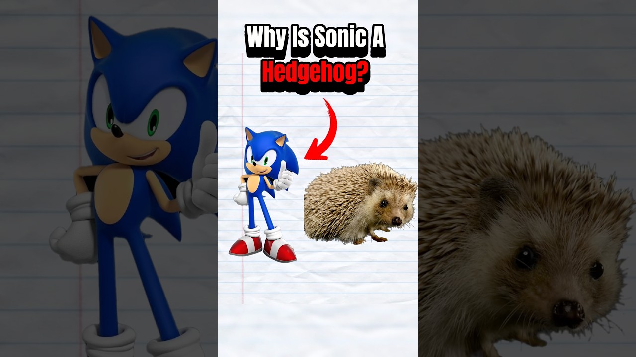 Почему Соник &mdash; ёж? 🦔