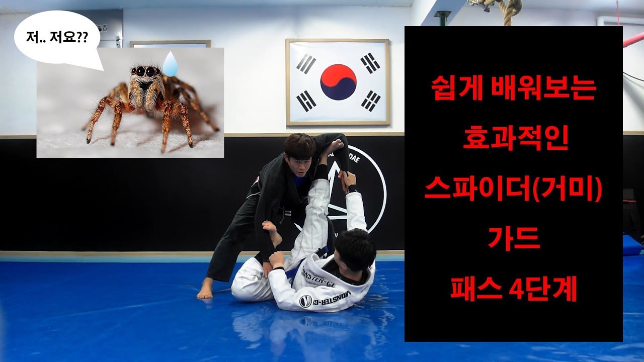 [박사범 주짓수 교실]쉽고 효과적인 스파이더가드 4단계 패스(easy and effective passing spider guard)