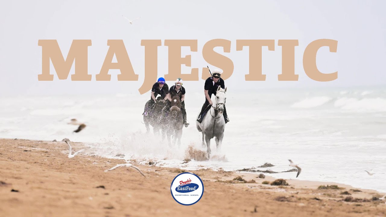 The #1 Choice For Your Horse - Pryde's EasiFeed