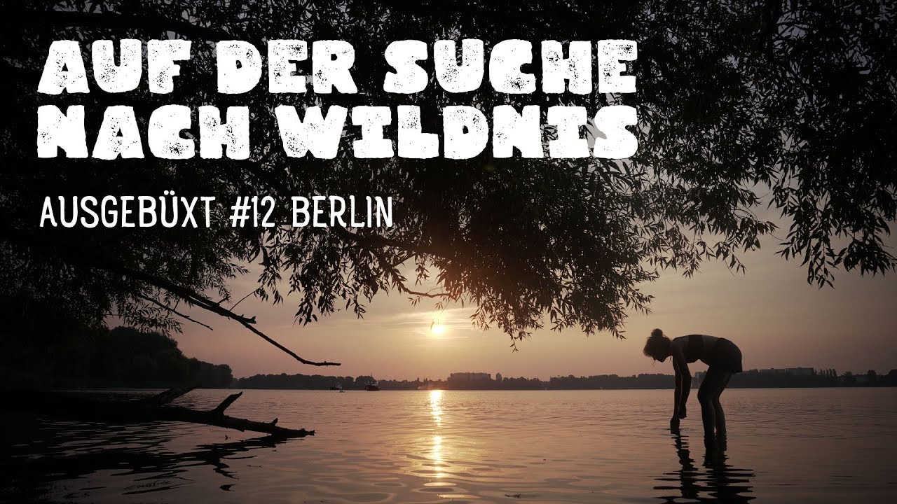 Auf der Suche nach Wildnis am Tegeler See - Ausgebüxt #12 Berlin | Wandern Trekking Deutschland