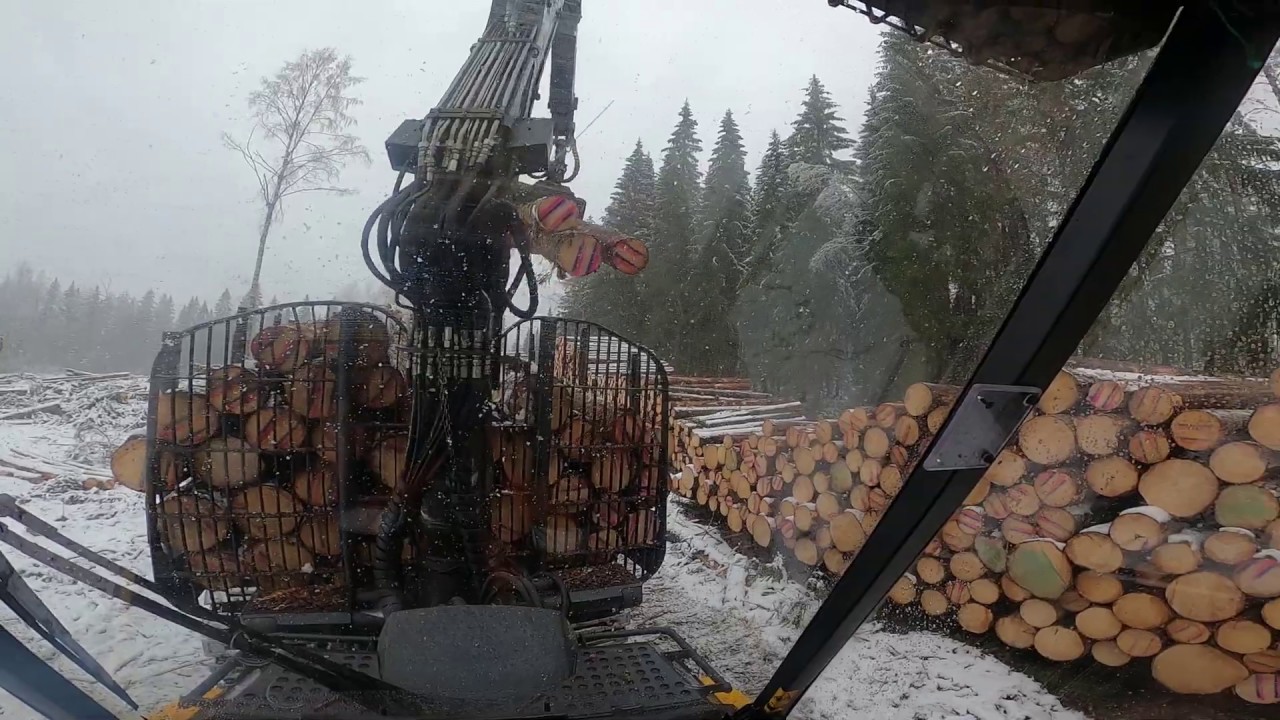 Lunta saakeli vaihteeksi ja Ponsse Buffalolla puun ajossa. #takatakatakatalvi.