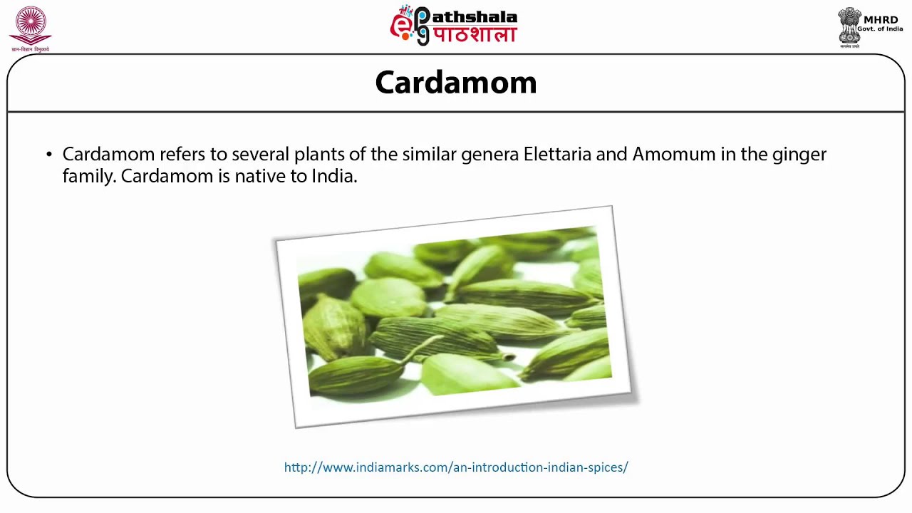 Introduction : Technology of Spices and Condiments (FT)