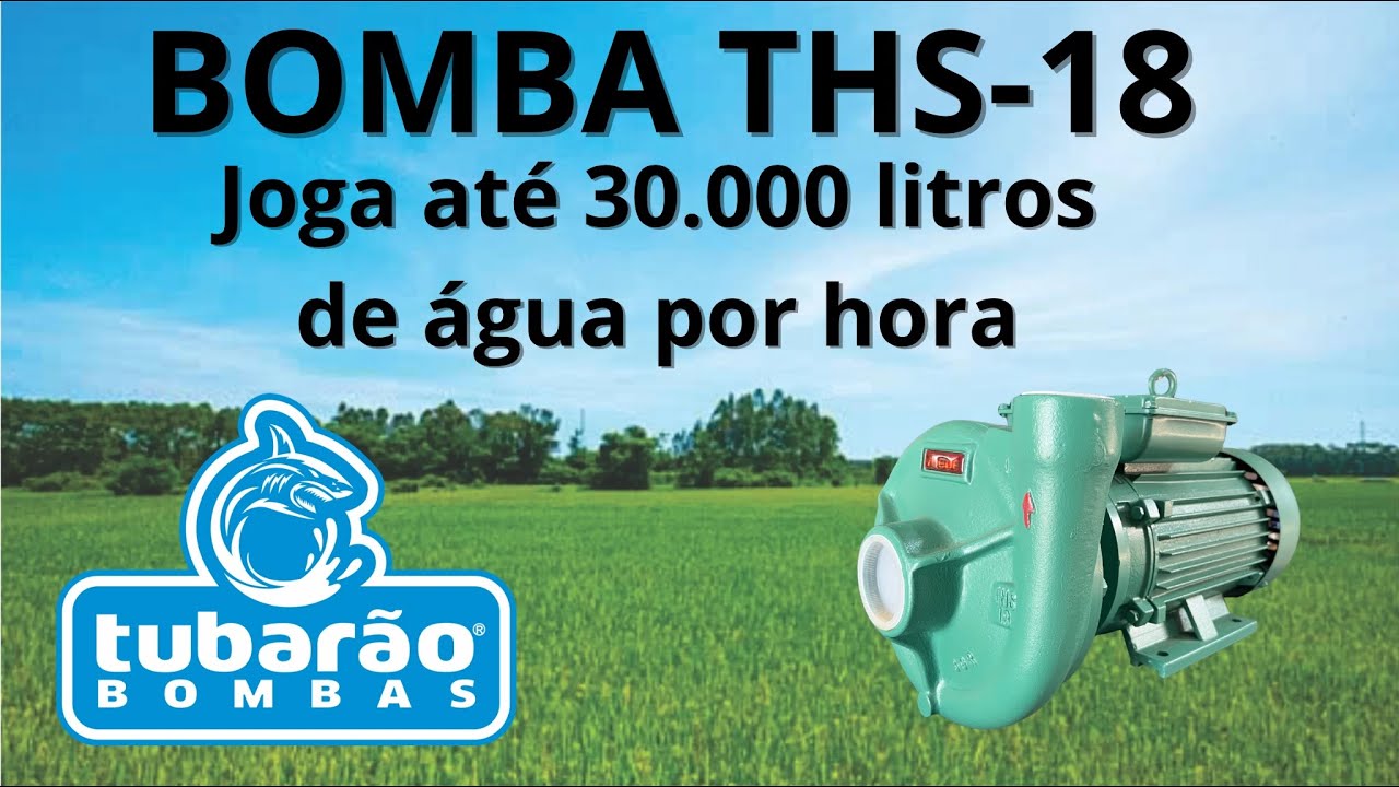 Bomba Centrífuga Thebe THS-18 5CV - Joga até 30.000 litros de água por hora 