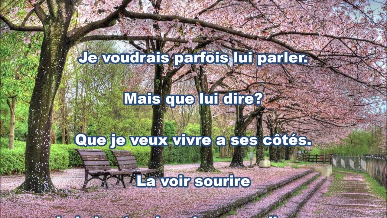 Sans Elle  (Claude Michel Marzano)