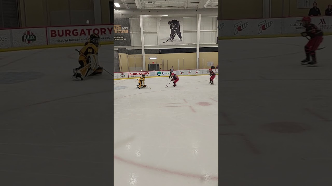 #goals #happen #hockey #girls #goalie #puck #ice