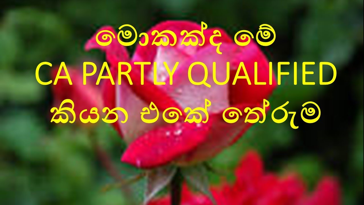 මොකක්ද මේ Partly Qualified කියන එකේ තේරුම