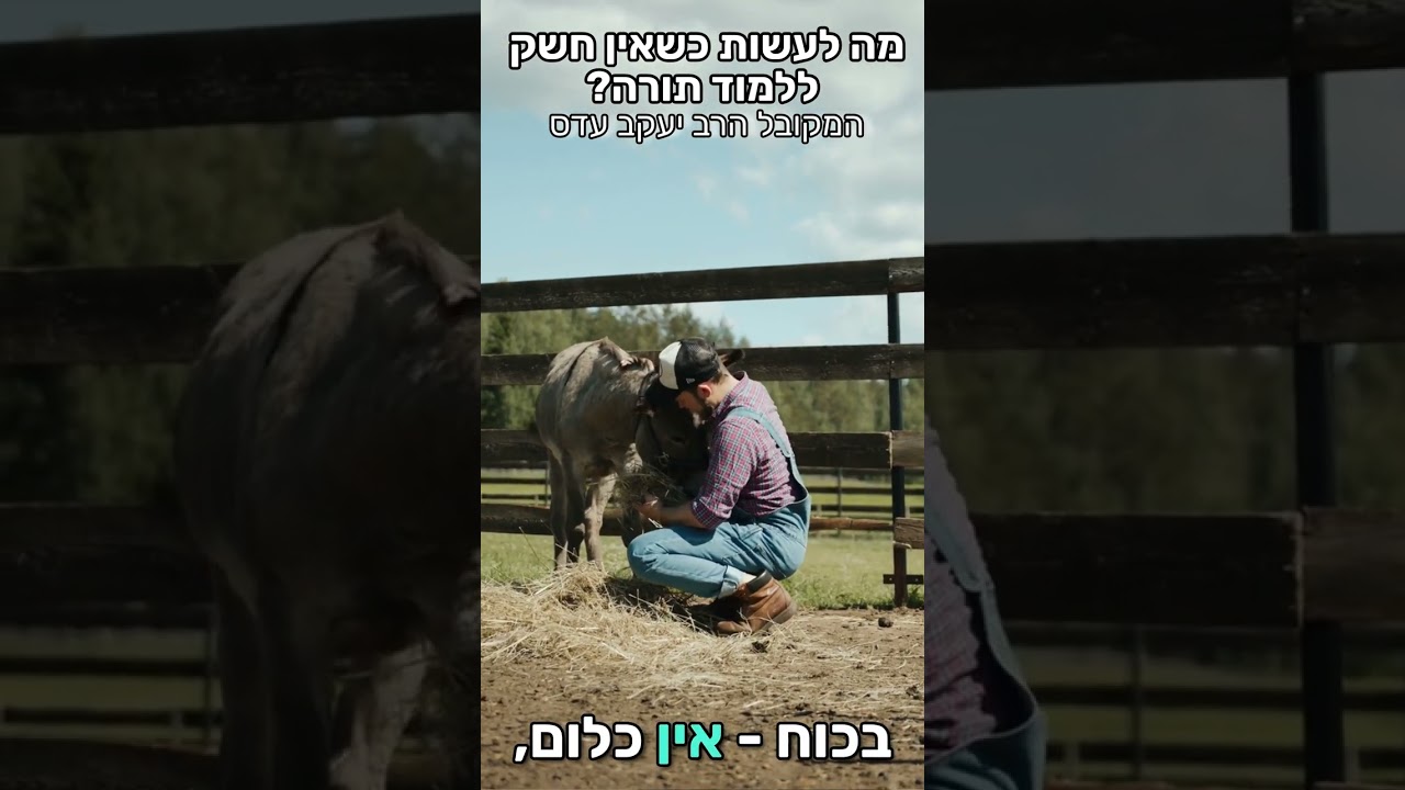 חשק ללמוד תורה: איך משיגים? | ק