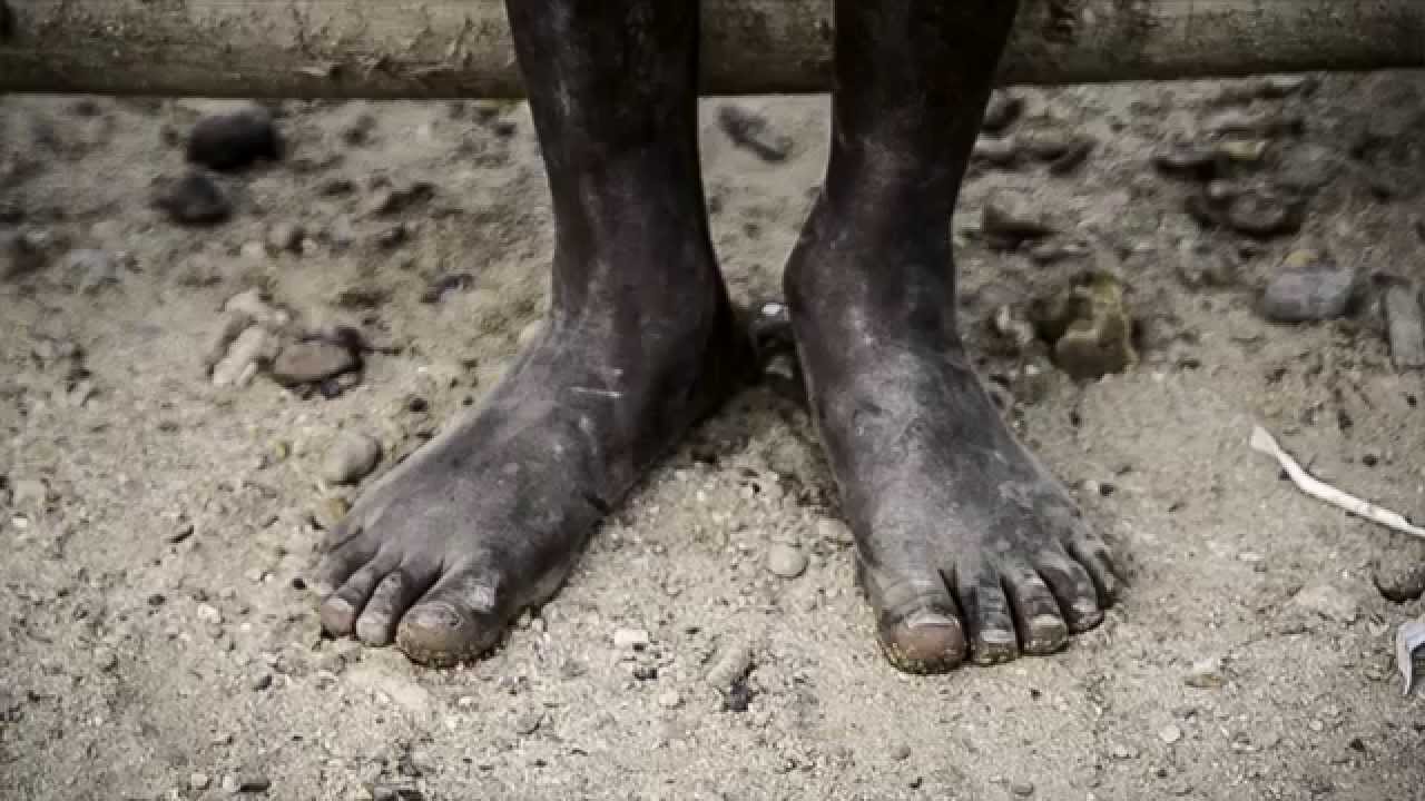Tierra Bomba