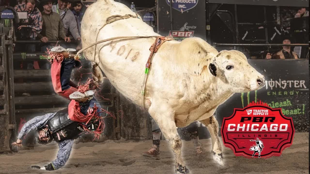PBR Unleash the Beast Chicago | 2024 Week 7 Recap