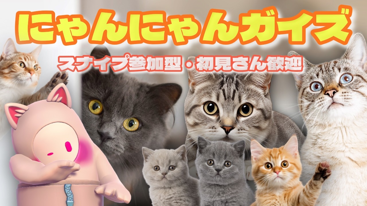 【FALLGUYS】#192　【にゃんにゃんガイズ】　あつまれ猫スキン　　 #スナイプ参加型　＃初見さん歓迎
