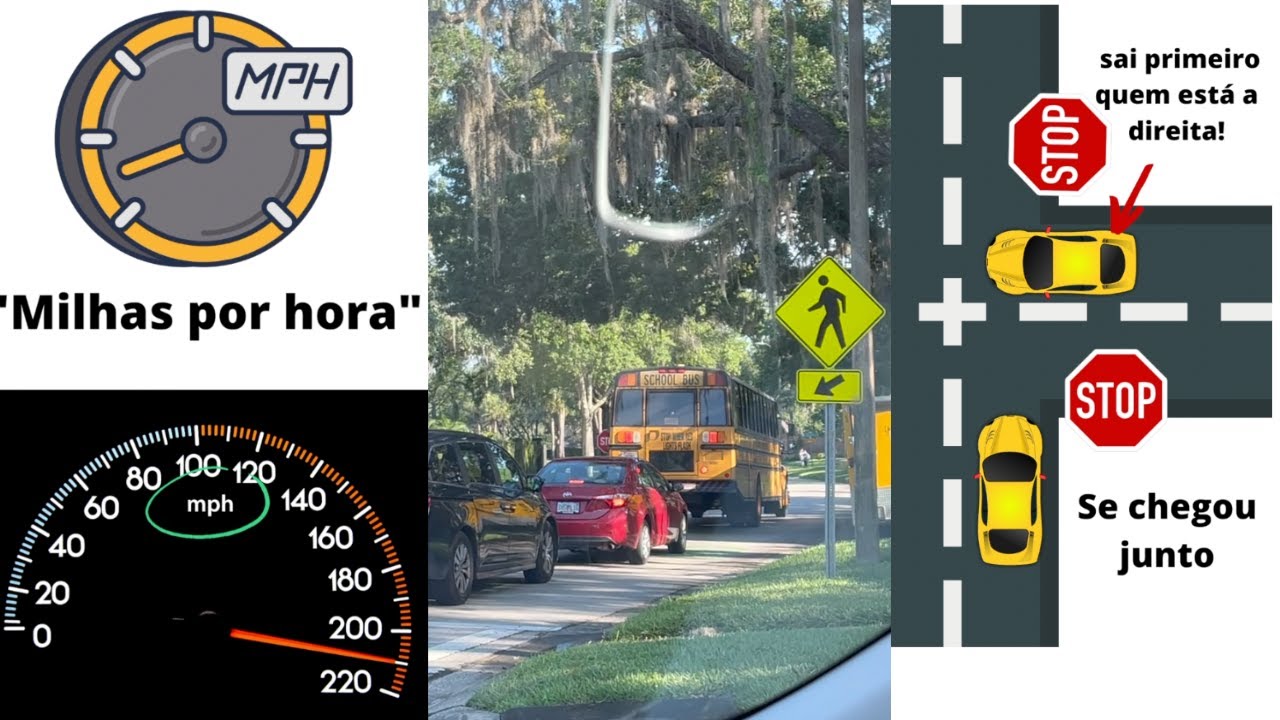 Dirigir EUA vs Dirigir no Brasil BR: 12 Diferen&ccedil;as em 2m38seg