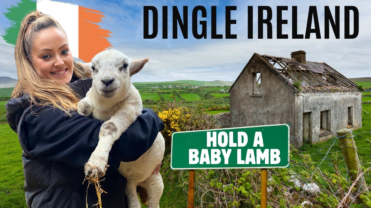 Discover DINGLE, IRELAND - A Hidden Gem on the Wild Atlantic Way 🇮🇪