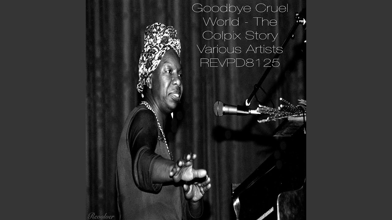 Pretty Plaid Skirt & Long Black Sox