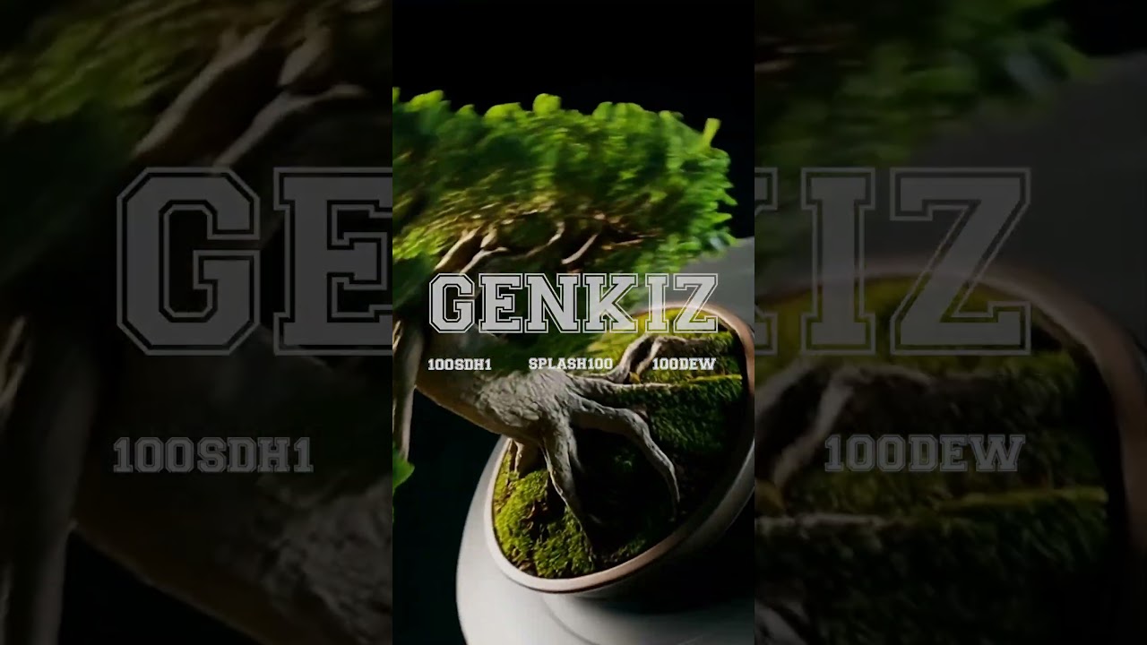 GENKIZ : 100SHD1,100DEW & SPLASH100 - ねんねんころり【Official Recap】 #genkiz