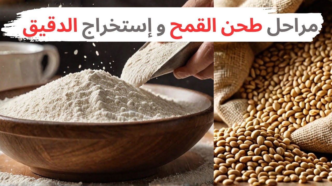 مراحل طحن القمح و إستخراج الدقيق