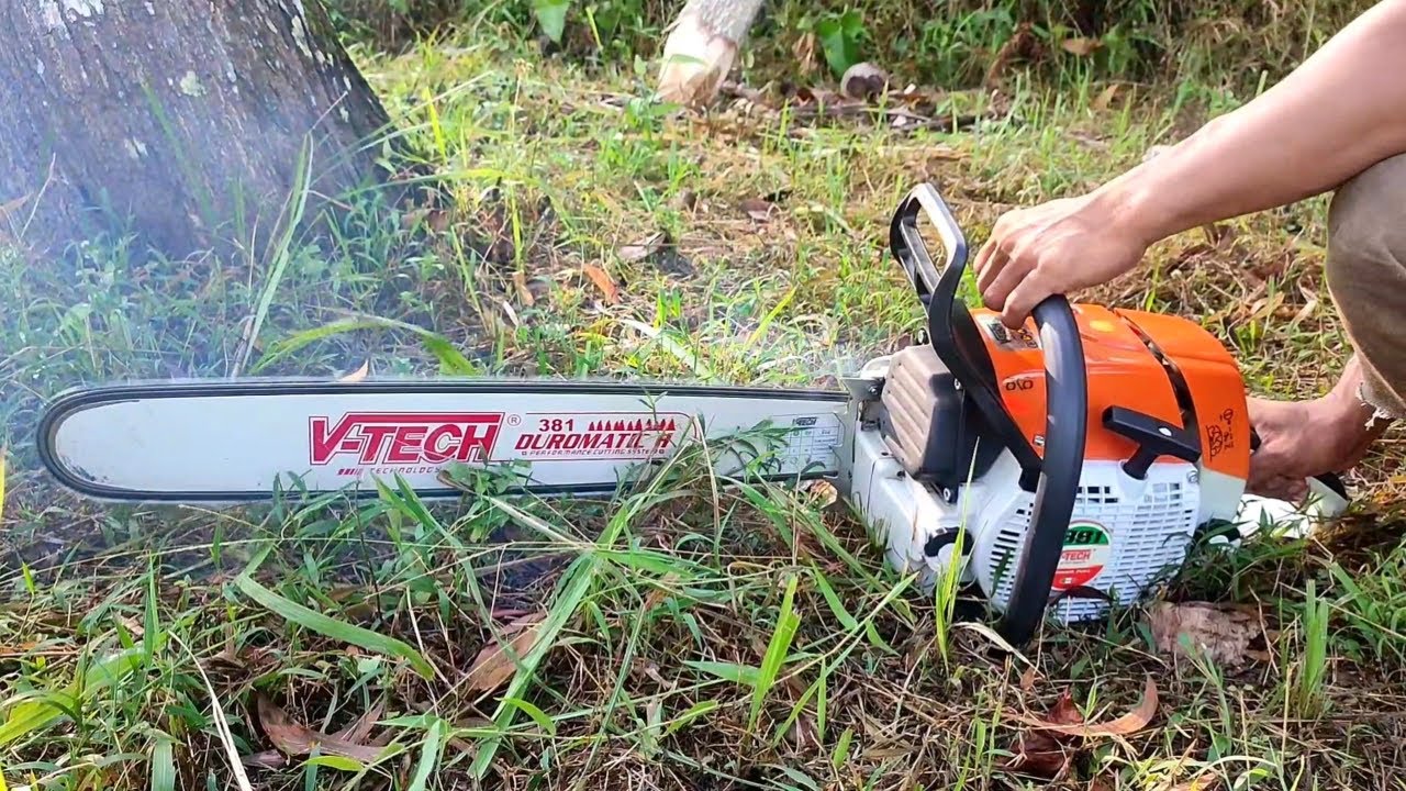 First start,tebang pohon galih keras dengan chainsaw baru