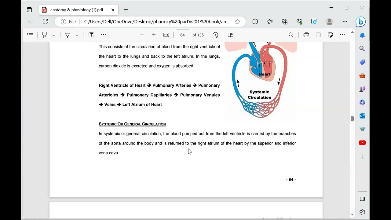 physiology lecture Blood circulation