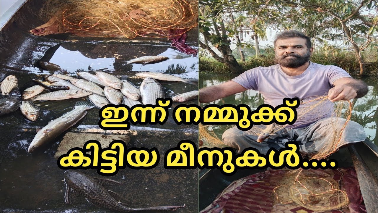 ഇന്ന് നമ്മുക്ക് കിട്ടിയ മീനുകൾ.... @LD AND RD MEDIA