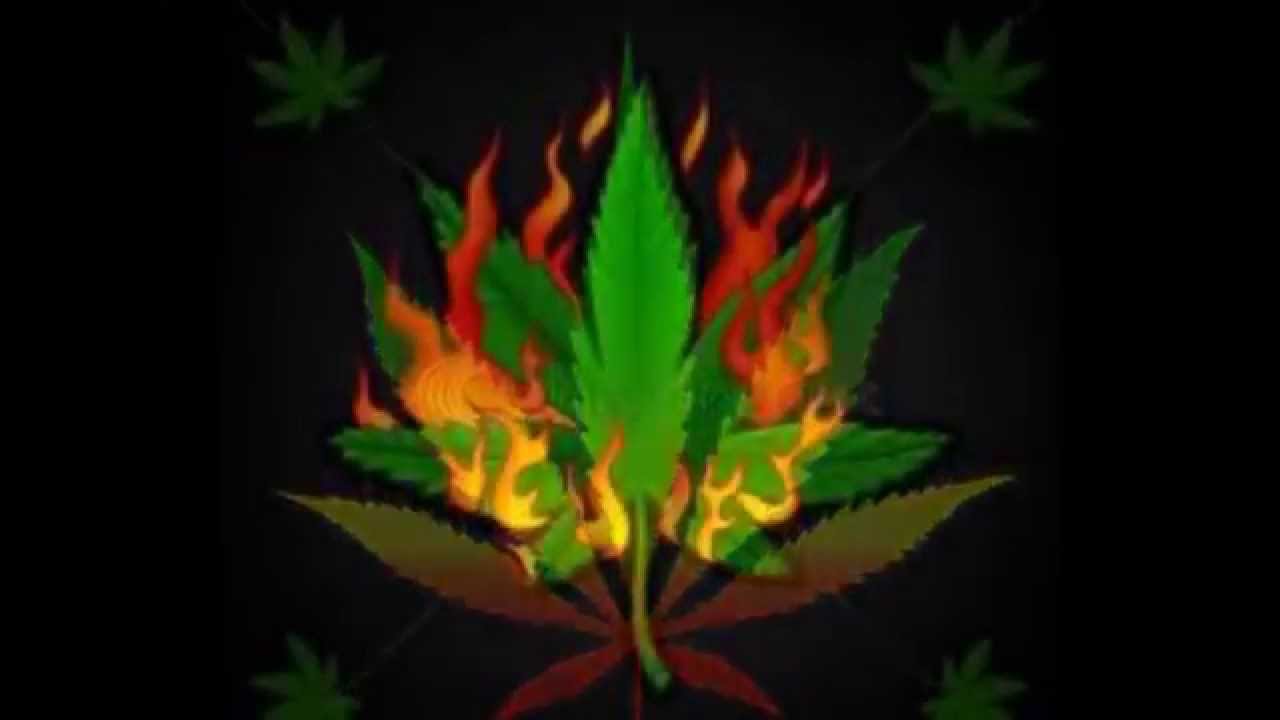 Antenni - Asfalttiviidakko