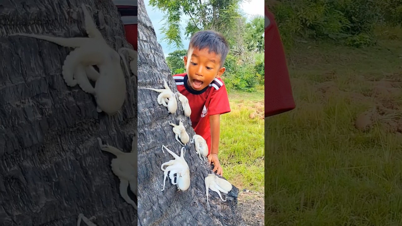 Survival Skills: SIMPLE and USEFUL with squid #bushcraft #campingvideo#creative #survivalist