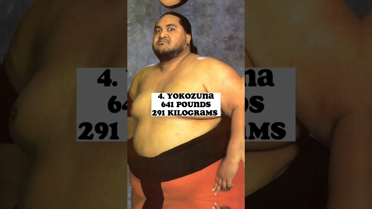 Top 10 Heaviest Wrestlers Of All Time )#shorts #wwe #wweshorts #youtubeshorts #yokozuna