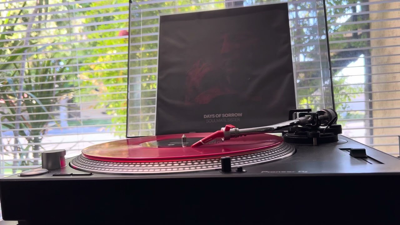 Days Of Sorrow- Wild World (Acoustic Version)