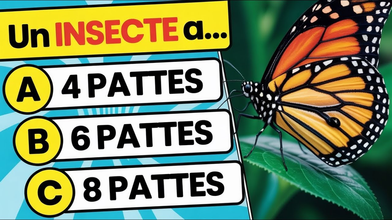 40 Questions de Culture Générale: Es-tu Plus Intelligent que tu le Penses?